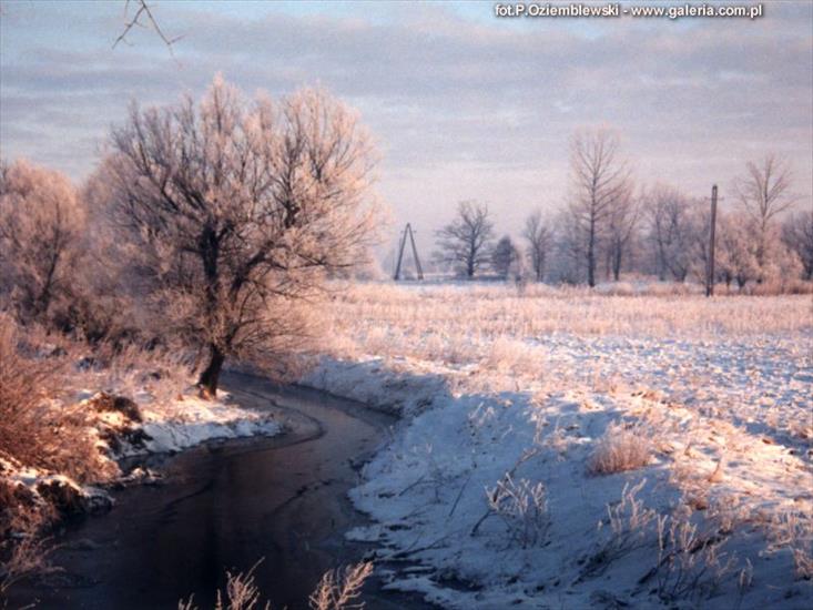 Krajobraz - Zima_2.jpg