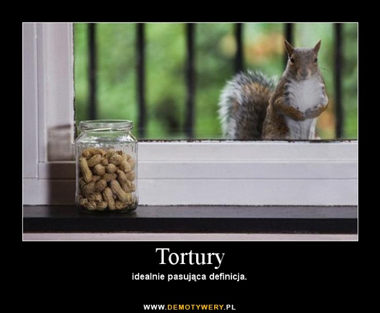 Tapety6 - Tortury.jpg