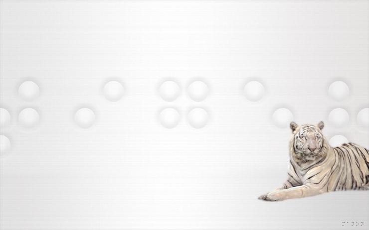 Super tapety 2560 x 1600 - 00149_platinumtiger_2560x1600.jpg