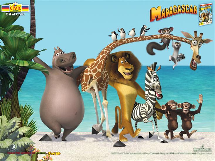 Madagascar - tapeta_Madagaskar_4.jpg