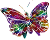 motyle - butterfly-124.gif
