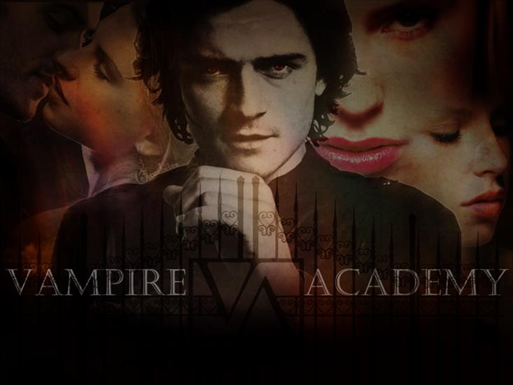 Gallery - Vampire_Academy_Wall_by_lovewillbiteyou.png