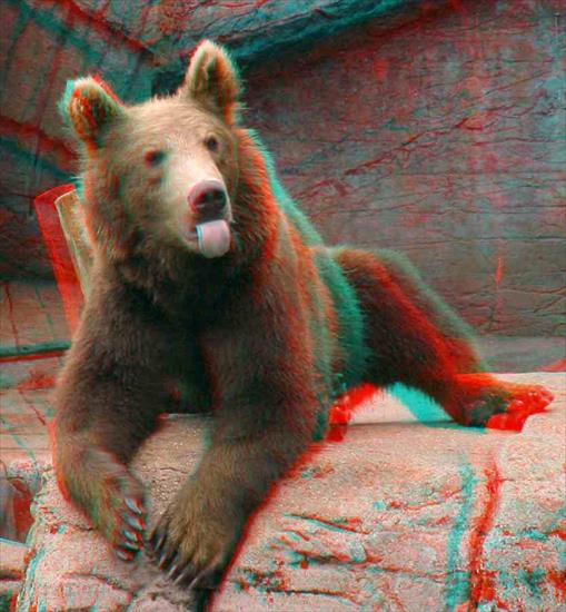 3D Anaglify FREE - pictures for anaglyph glasses.jpg