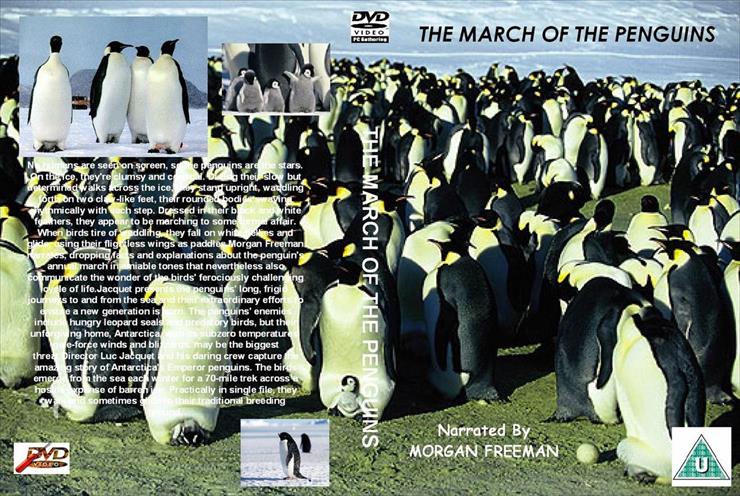 DOKUMENTALNE - March_Of_The_Penguins_custom-front.jpg