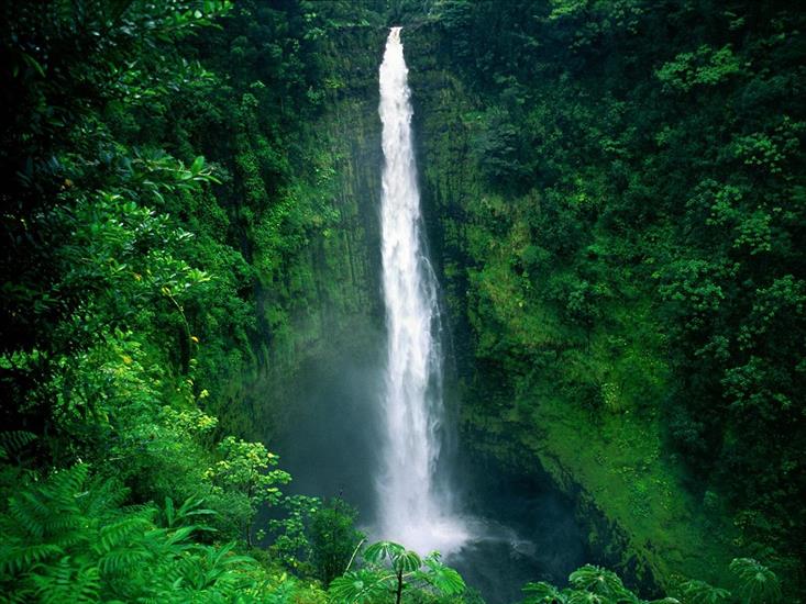 Stany Zjednoczone - Akaka Falls, Big Island, Hawaii1600x1200.jpg