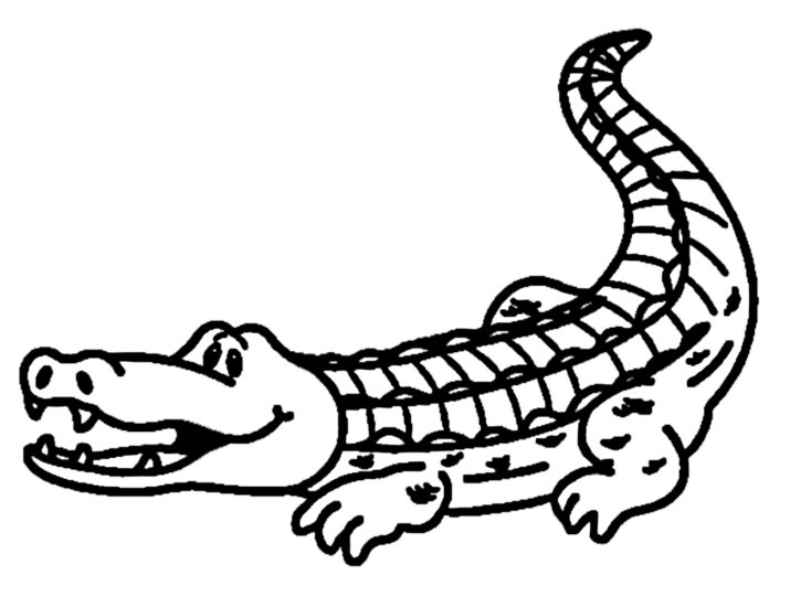 Aligator - aligator - 01.bmp
