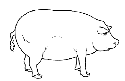 Zwierzaczki - świnia.bmp