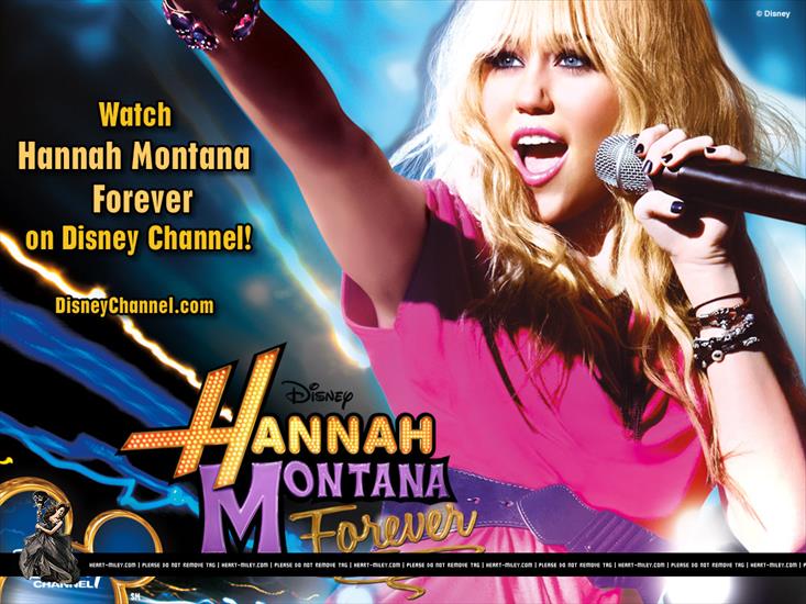 Hannah Montana Forever - hm01_6.jpg