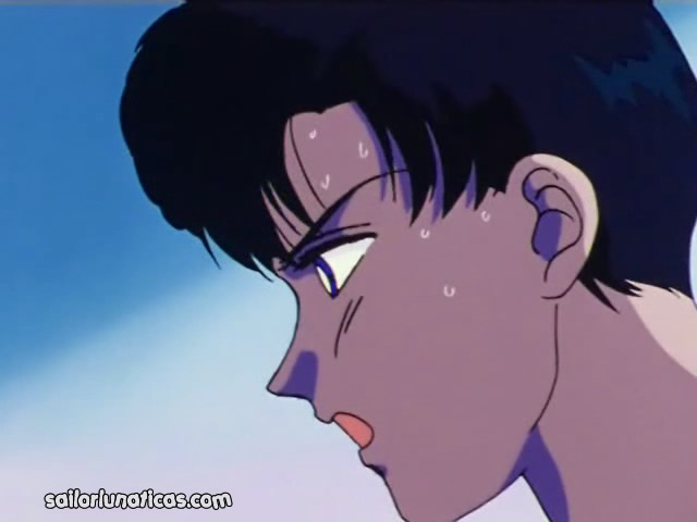 Mamoru Chiba - Tuxido - Endymion - Tuxedo-Mask-Darien-Chiba141.jpg