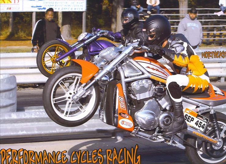 harley-davidson - 10989-2006-Harley-Davidson-VRSC.jpg