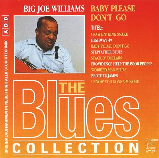 Blues Collection 36 - Baby Please Dont Go - big joe williams - front.jpg
