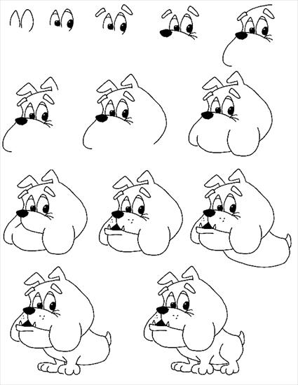 Jak narysować - nauka rysowania pies.gif