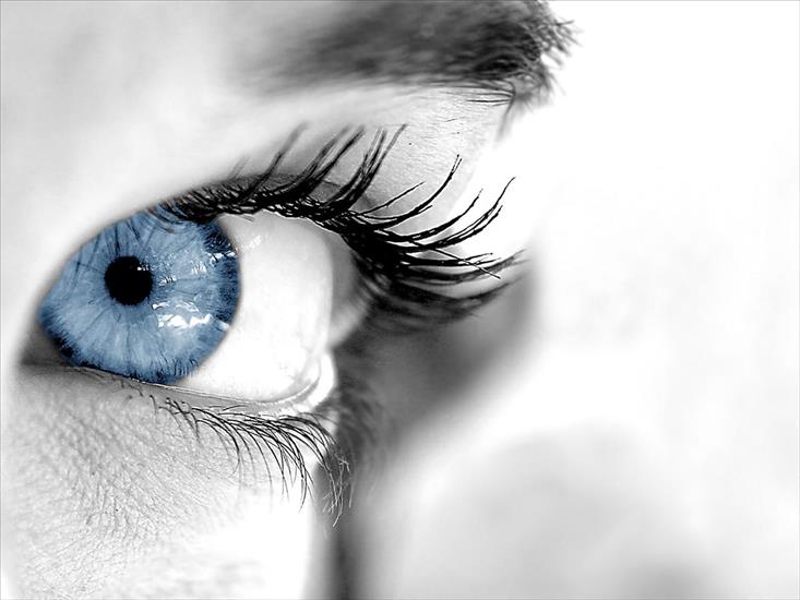 tapety - Blue_Eye.jpg