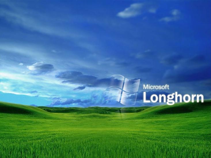 800x600 - Microsoft Longhorn Mexican.jpg
