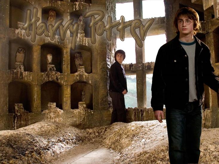 tapety - Harry_Potter__59.jpg