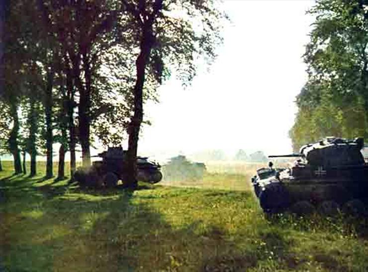 Czołgi - Niemcy 87.jpg