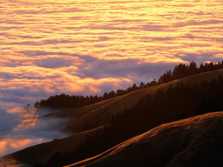 Gify Piękne Widoki - Coastal Fog and Mount Tamalpais at Sunset, Marin County, Cal.jpg