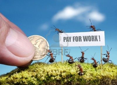 BLAH na Zdjęcia - Pieniądze dla mrówek.jpg