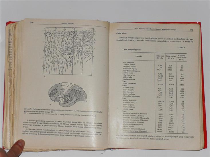 1. Anatomia porównawcza kręgowców. Henryk Szarstki - SDC13121.JPG