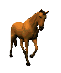 Gify - paard1.gif