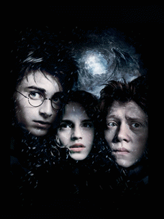 Harry Potter - 2156-PL-wallpaper69.gif