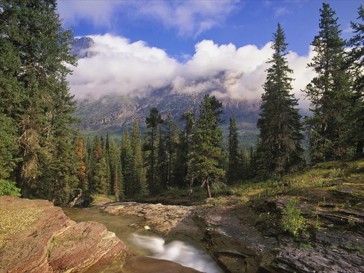 Best Collection 3 - Mountain Stream, Glacier National Park, Montana.jpg