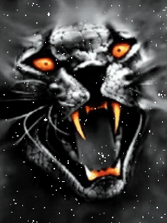 Zwierzęta - tiger1.gif