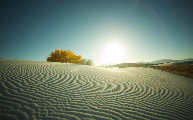 Abstrakcje - desert_sand_tree_evening_decline_4932_2560x1600.jpg