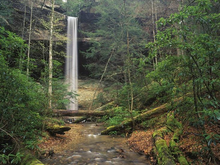 TAPETY WODOSPADY - Yahoo Falls Daniel Boone National Forest Kentucky.jpg