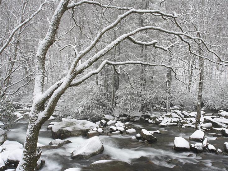 Krajobrazy - Smoky Mountains National Park in Winter, Tennessee.jpg