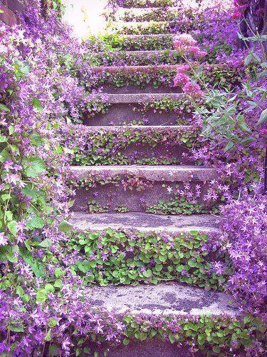 SCHODY - schody fioletowe.jpg
