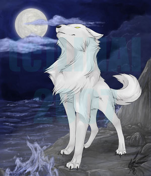 Zwierzaczki - White_Wolf___Take_4_by_linai.jpg