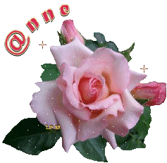 Kwiaty w wazonie - rose_anne1.gif
