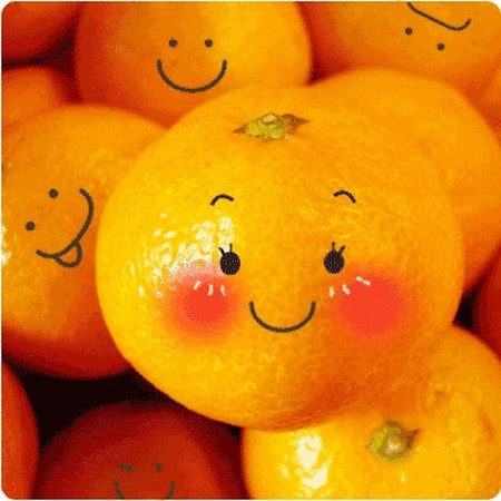 cytrusy - Wesołe pomarańcze.jpg
