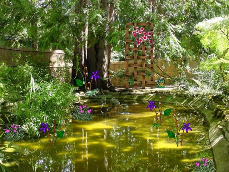 zachomikowane - the spring pond800.jpg