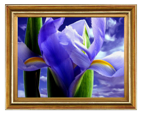 Kwiaty w ramkach - Framed image12.jpg