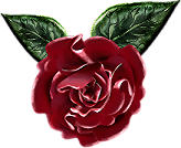 kwiaty - rose.png