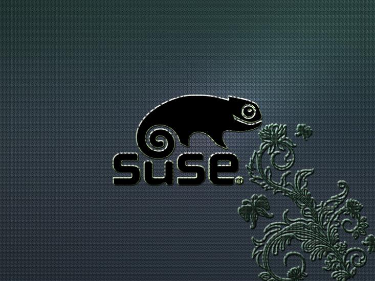Tapety Linux OpenSuse - SuSe_by_Momez.png