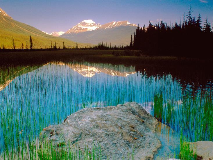 CA-Krajobraz - Mount Athabasca, Jasper National Park, Canada.jpg