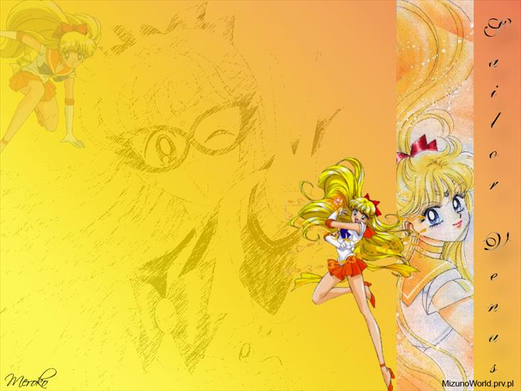 Sailor Venus - 1106093298venusfull1.jpg