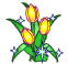 Kwiaty - Tulipany.gif