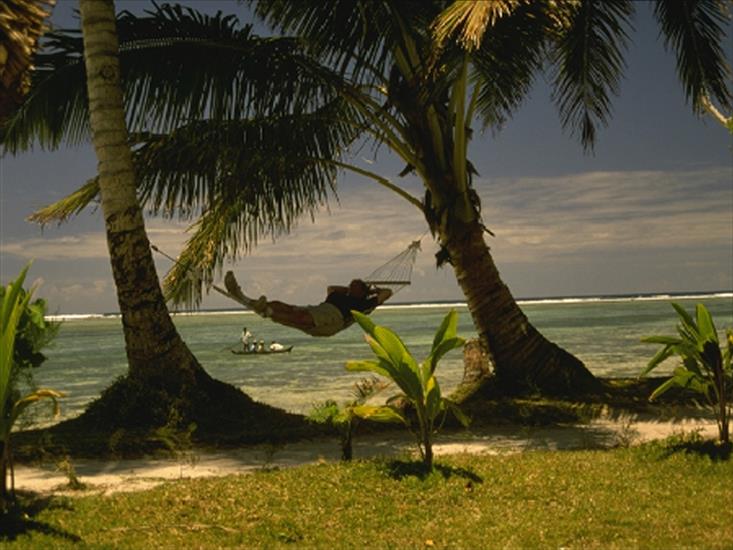 tapety-krajobrazy - tropico hamak.jpg