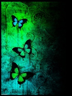 Tapety - Butterfly_Darkness.jpg