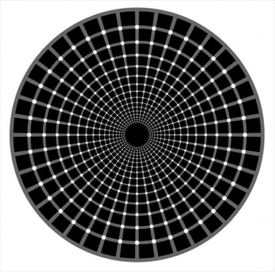 Złudzenia optyczne - iluzja5.jpg