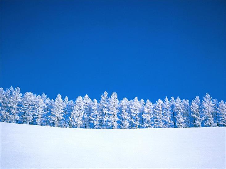 Winter Wallpapers - winter_wall040.jpg