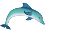  delfiny - 32.gif