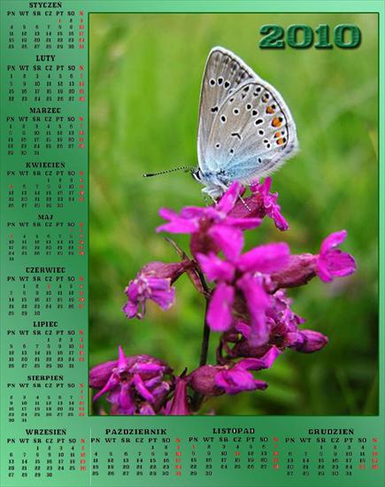 Kalendarze 2013 - Bez nazwy 2411.jpg