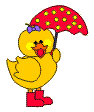 Wielkanoc - chick-umbrellaa.gif