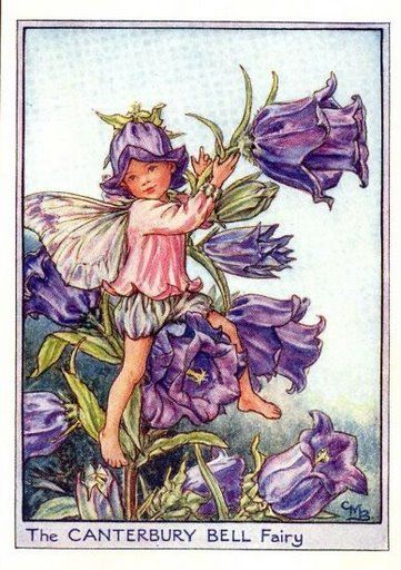 elfy - canterbury_bell_flower_fairy.jpg