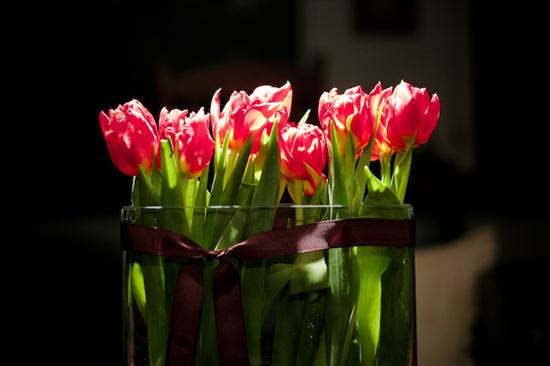 -tulipan-symbol miłości- - TYI7.jpg